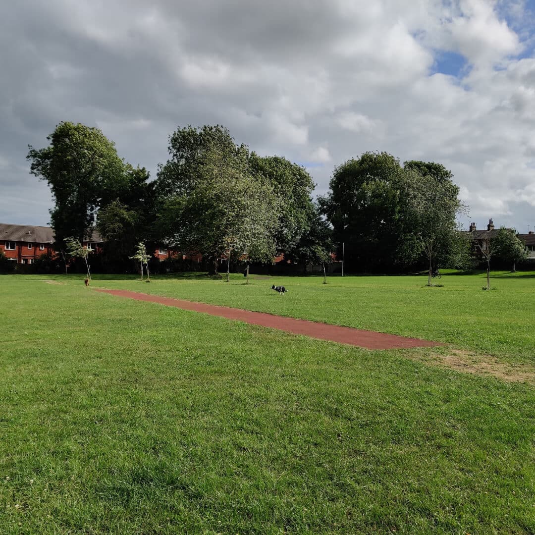 Lewisham Park