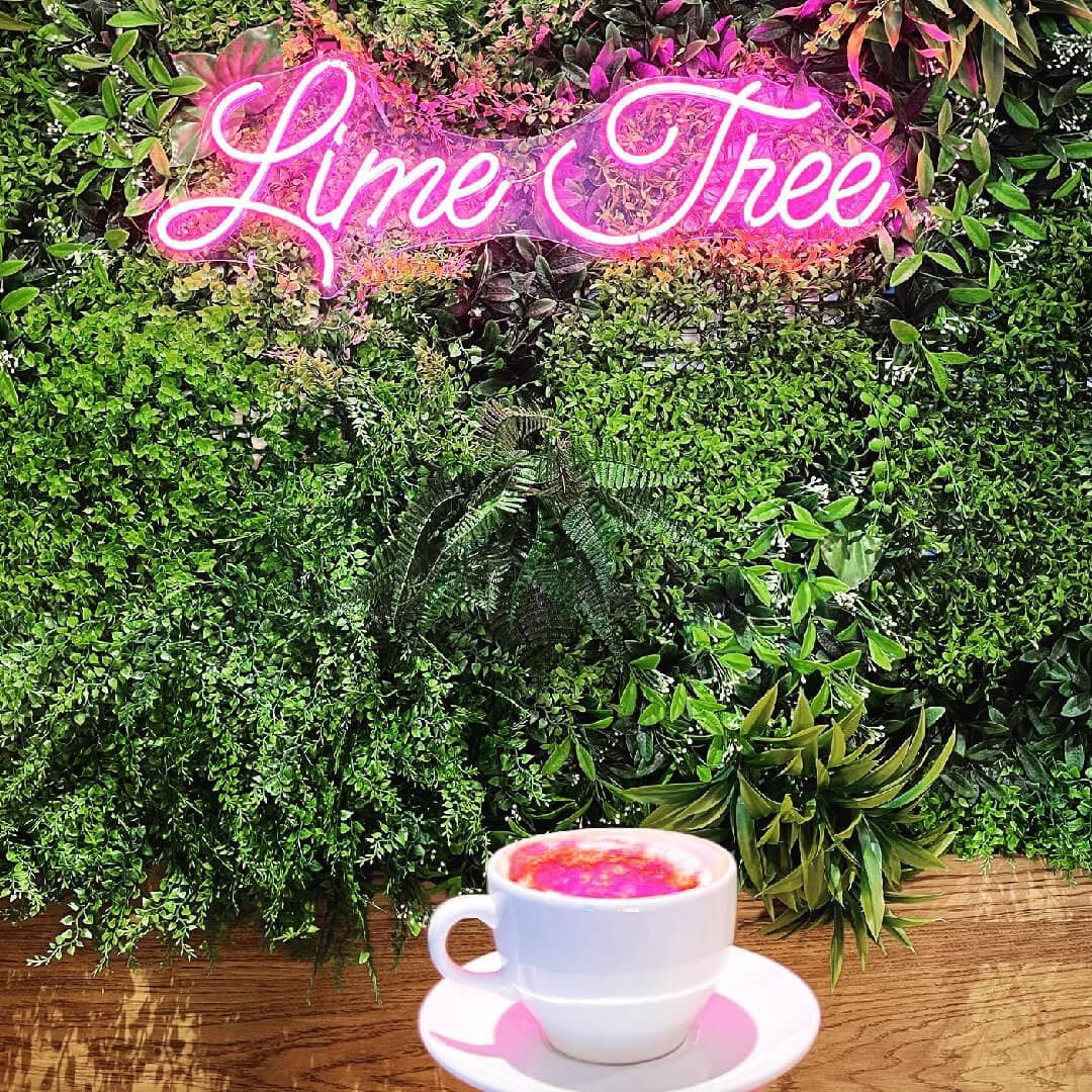 Lime Tree Morley
