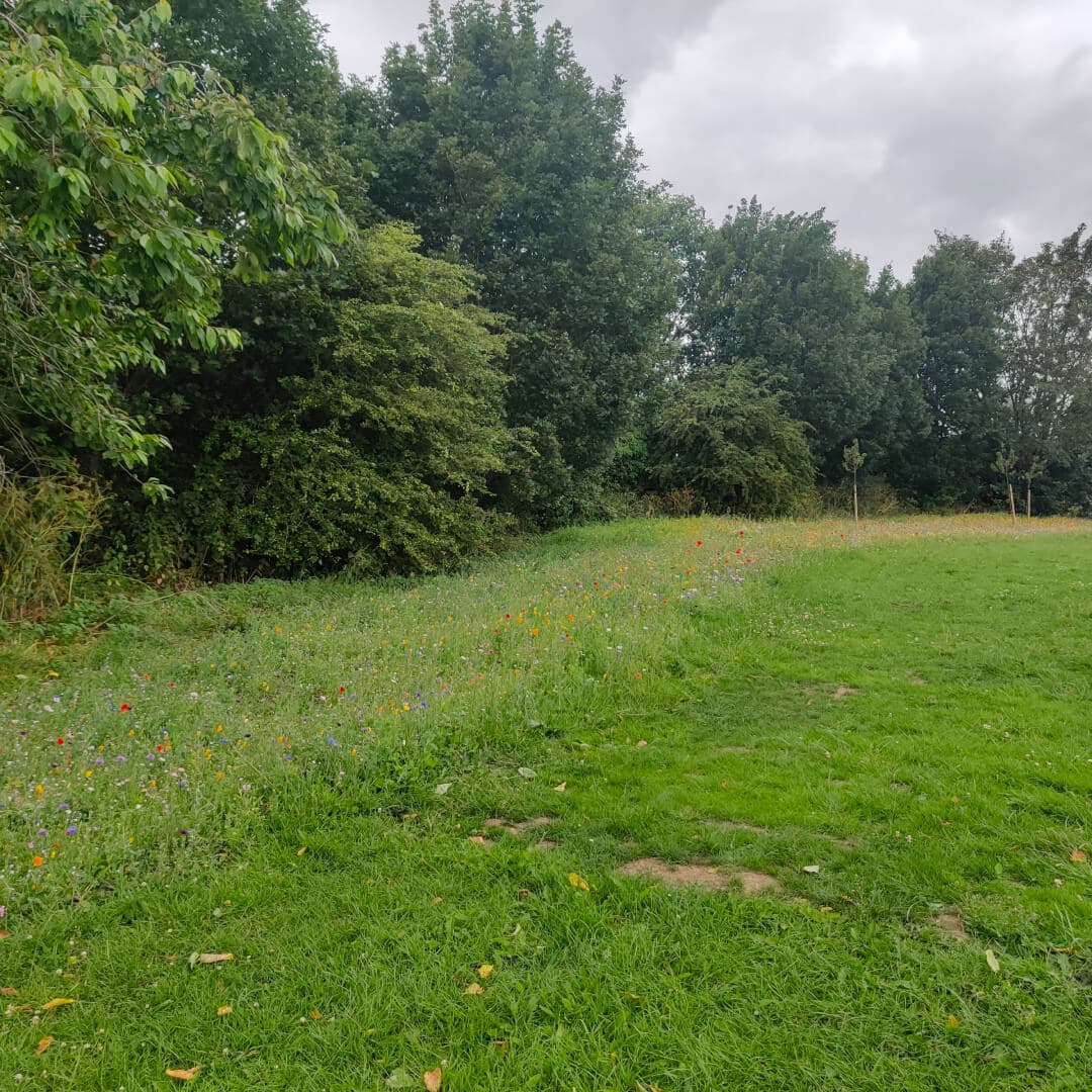 Hembrigg Park