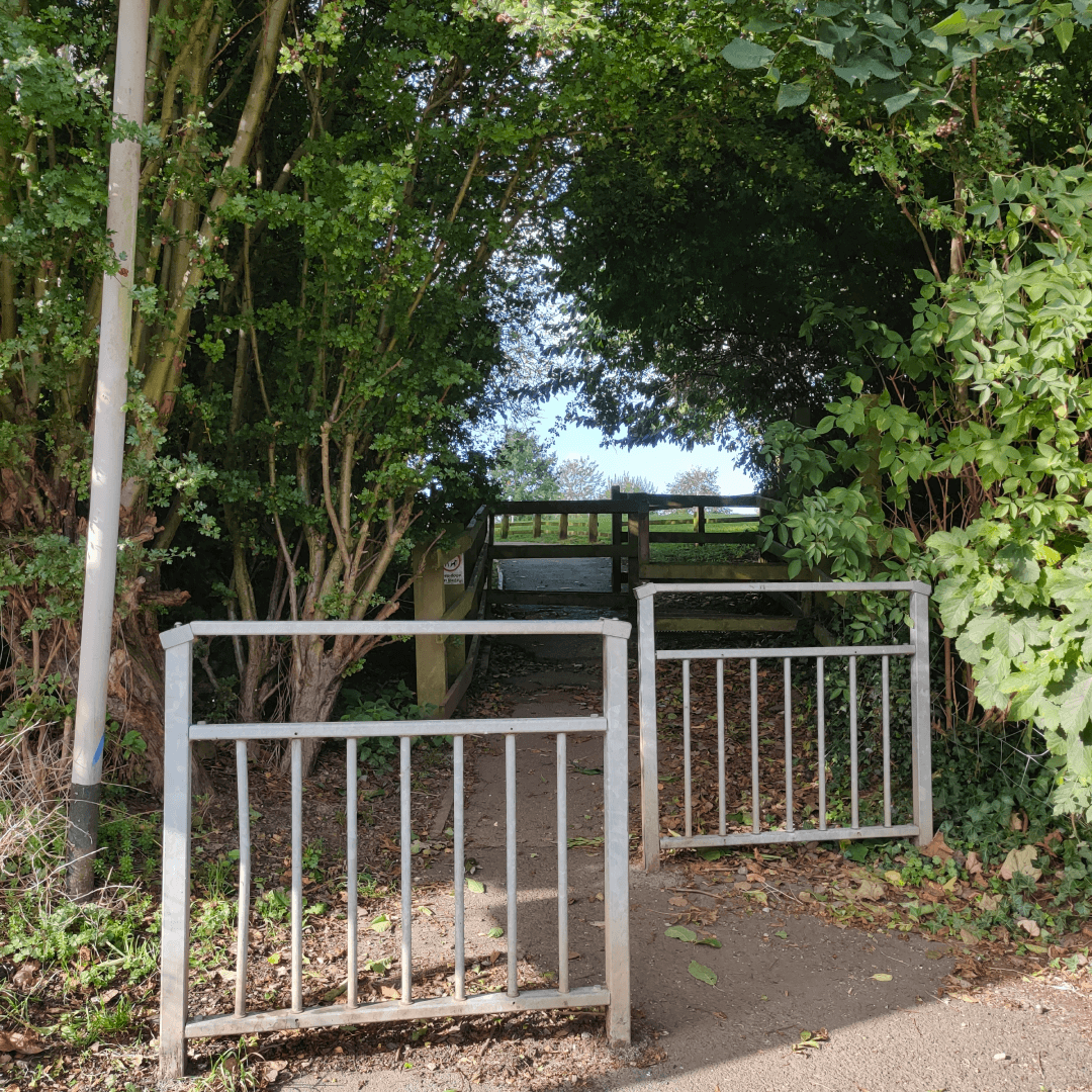 Springfield Park
