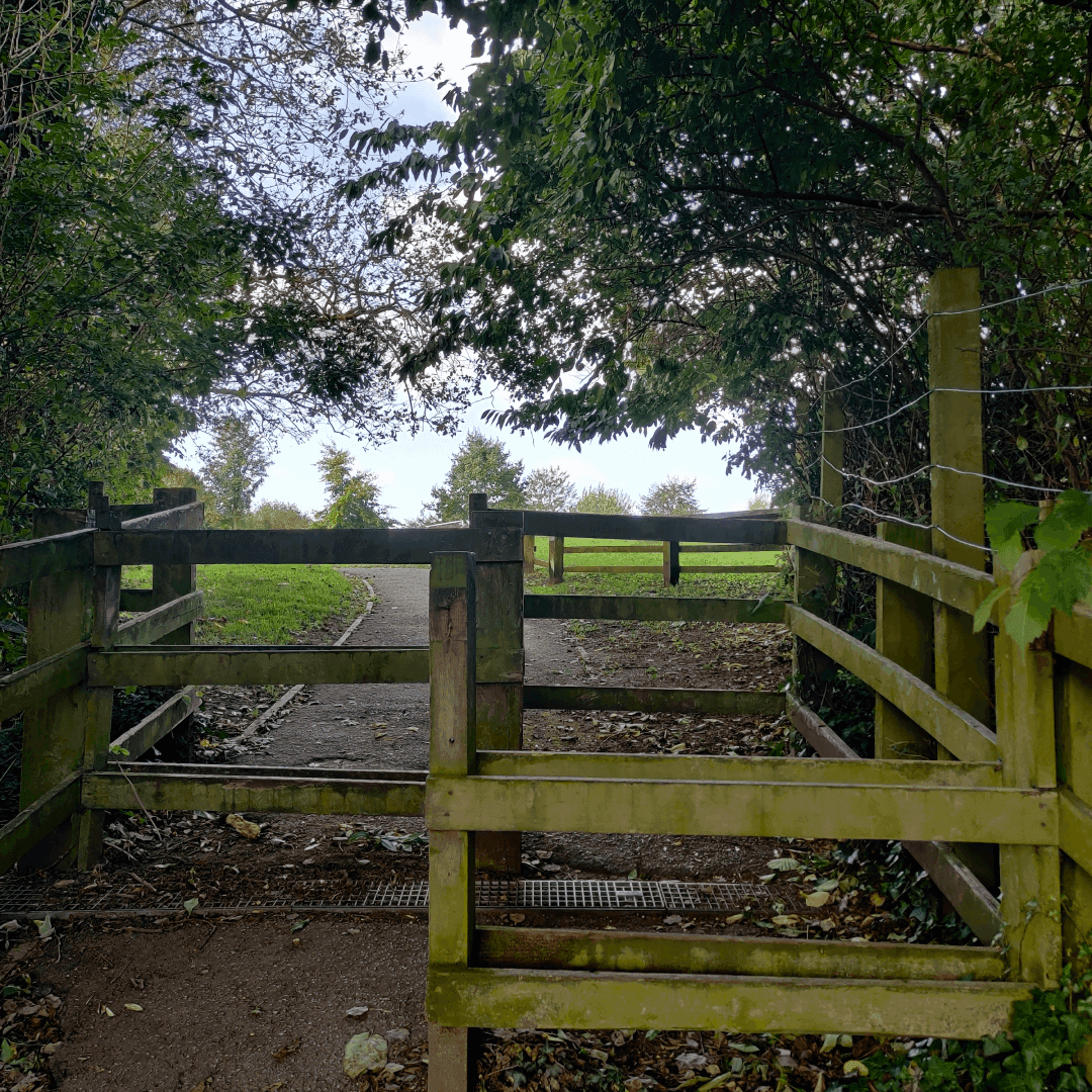 Springfield Park