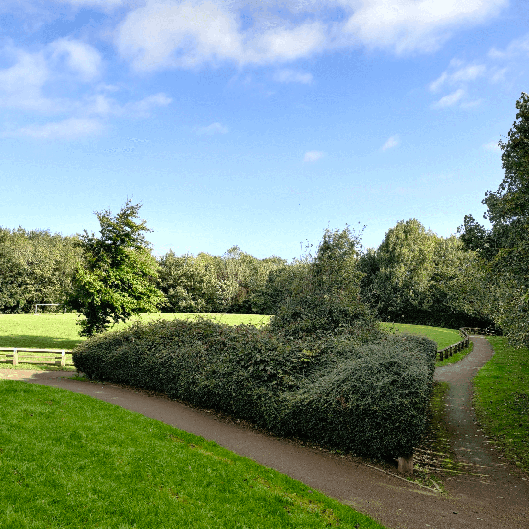 Springfield Park