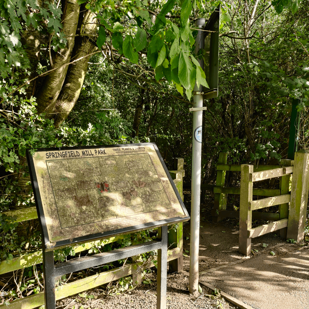 Springfield Park