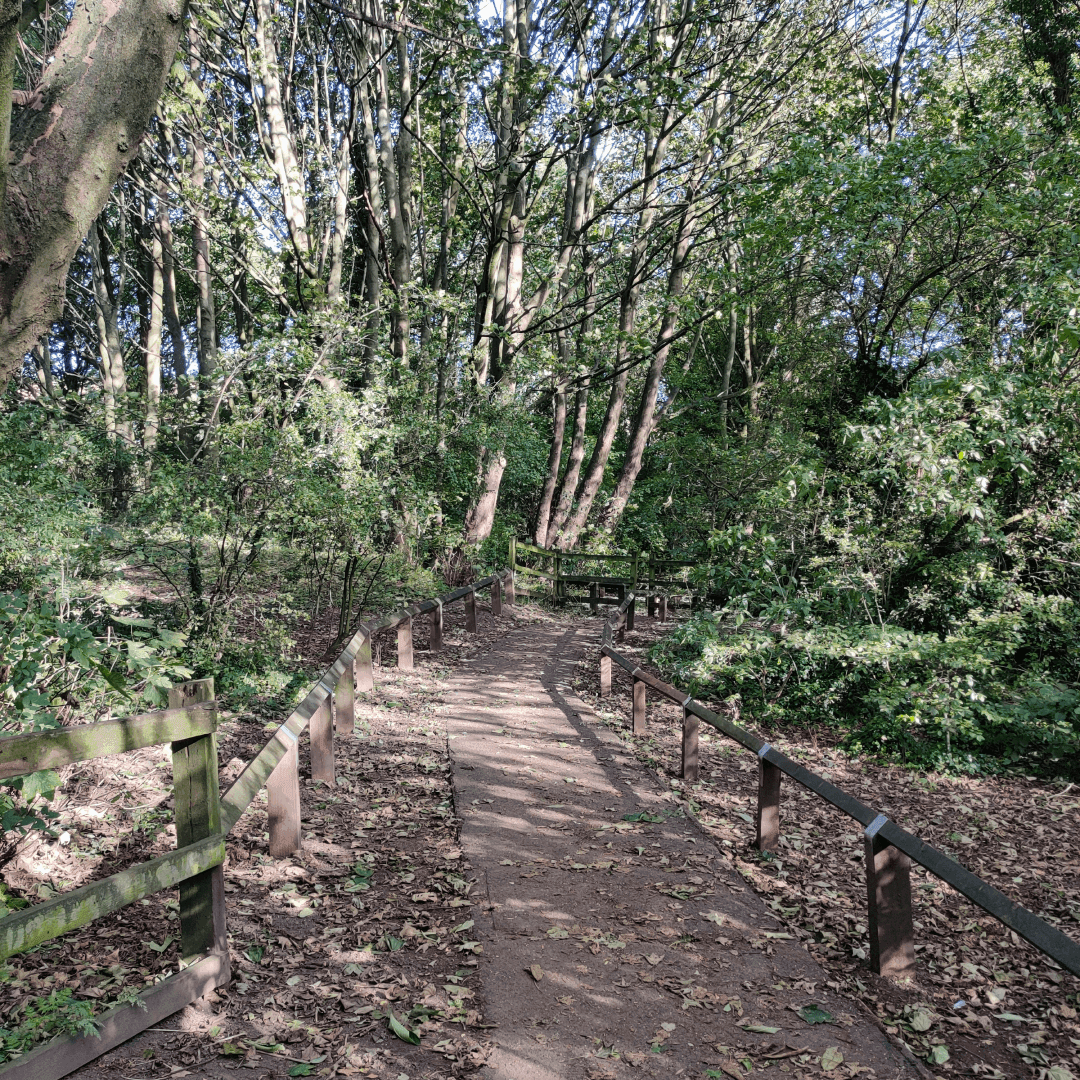 Springfield Park