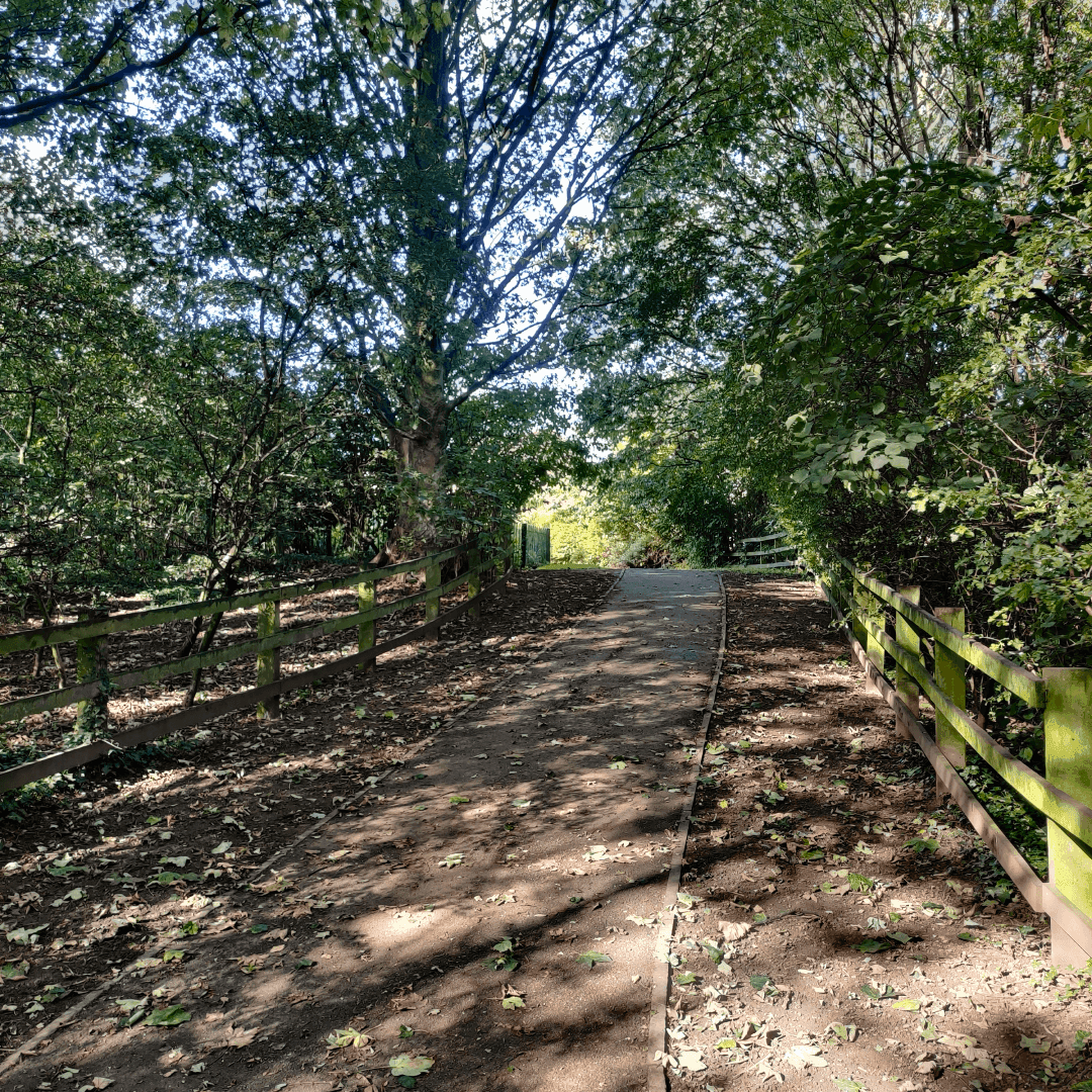 Springfield Park