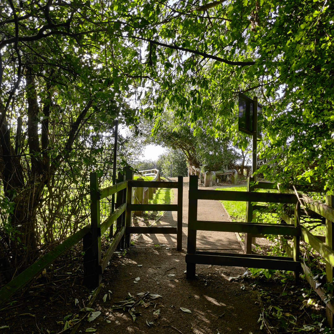 Springfield Park