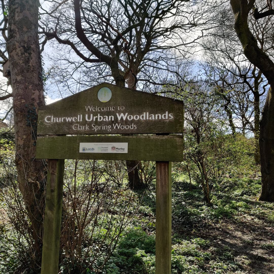 Clark Spring Wood