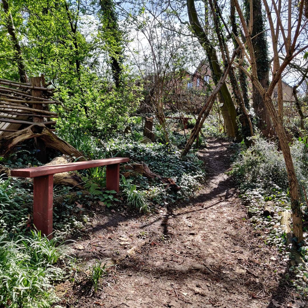 Clark Spring Wood