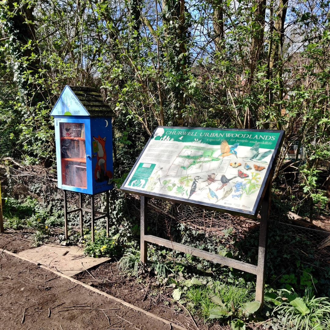 Clark Spring Wood