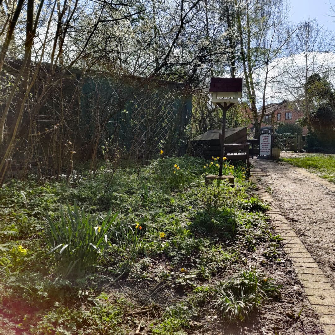 Clark Spring Wood