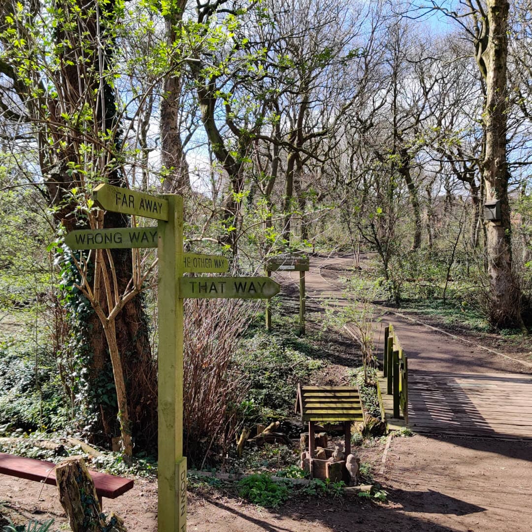 Clark Spring Wood