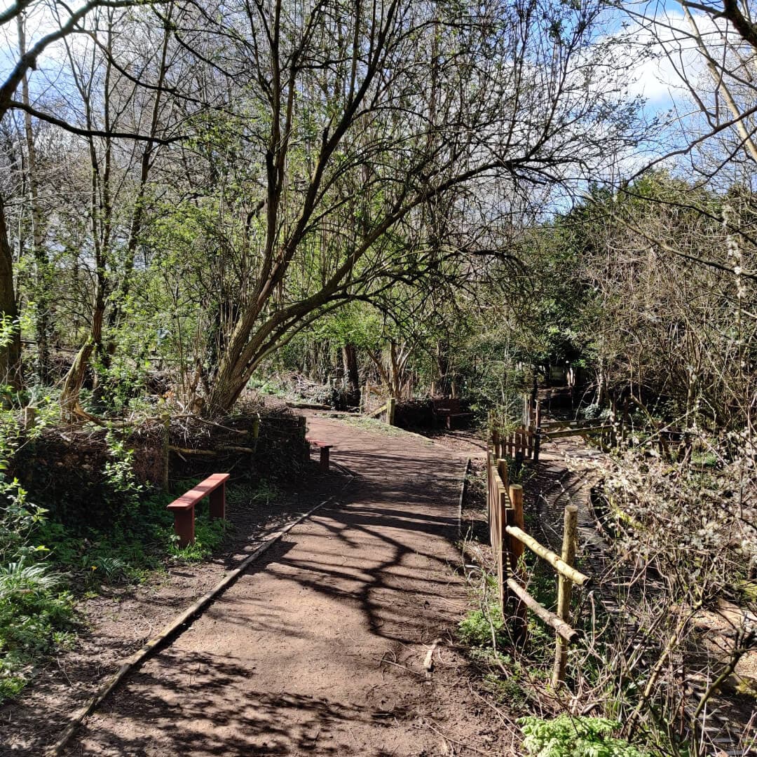 Clark Spring Wood