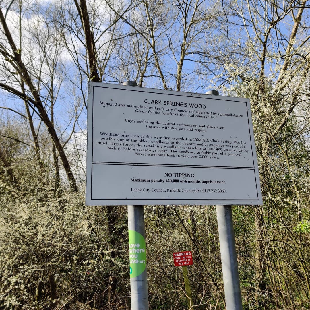 Clark Spring Wood
