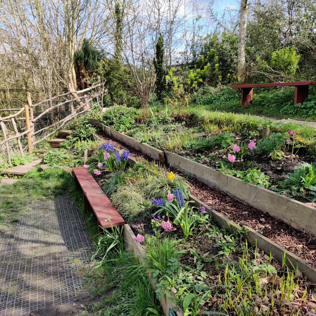 Daffil Wood