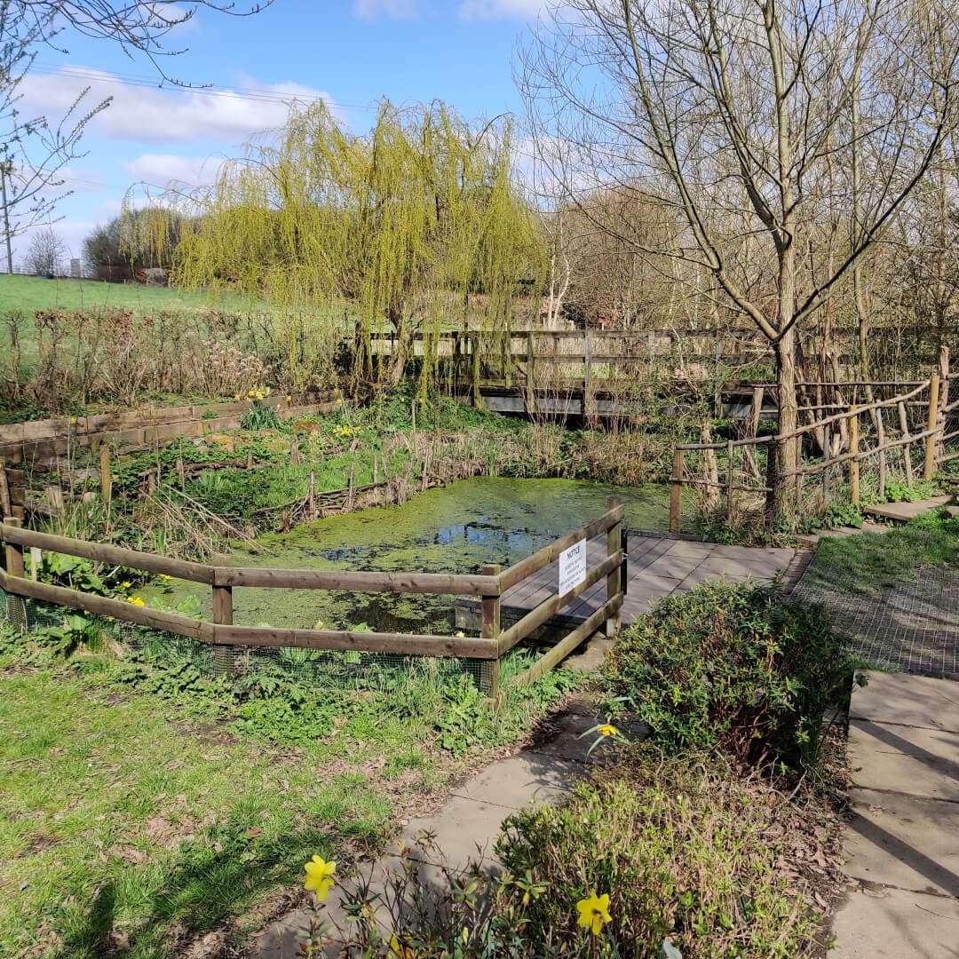 Daffil Wood