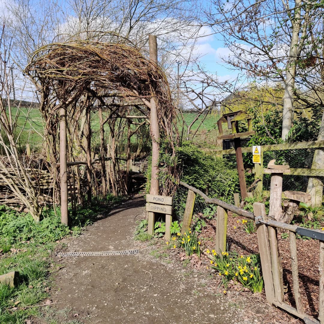 Daffil Wood
