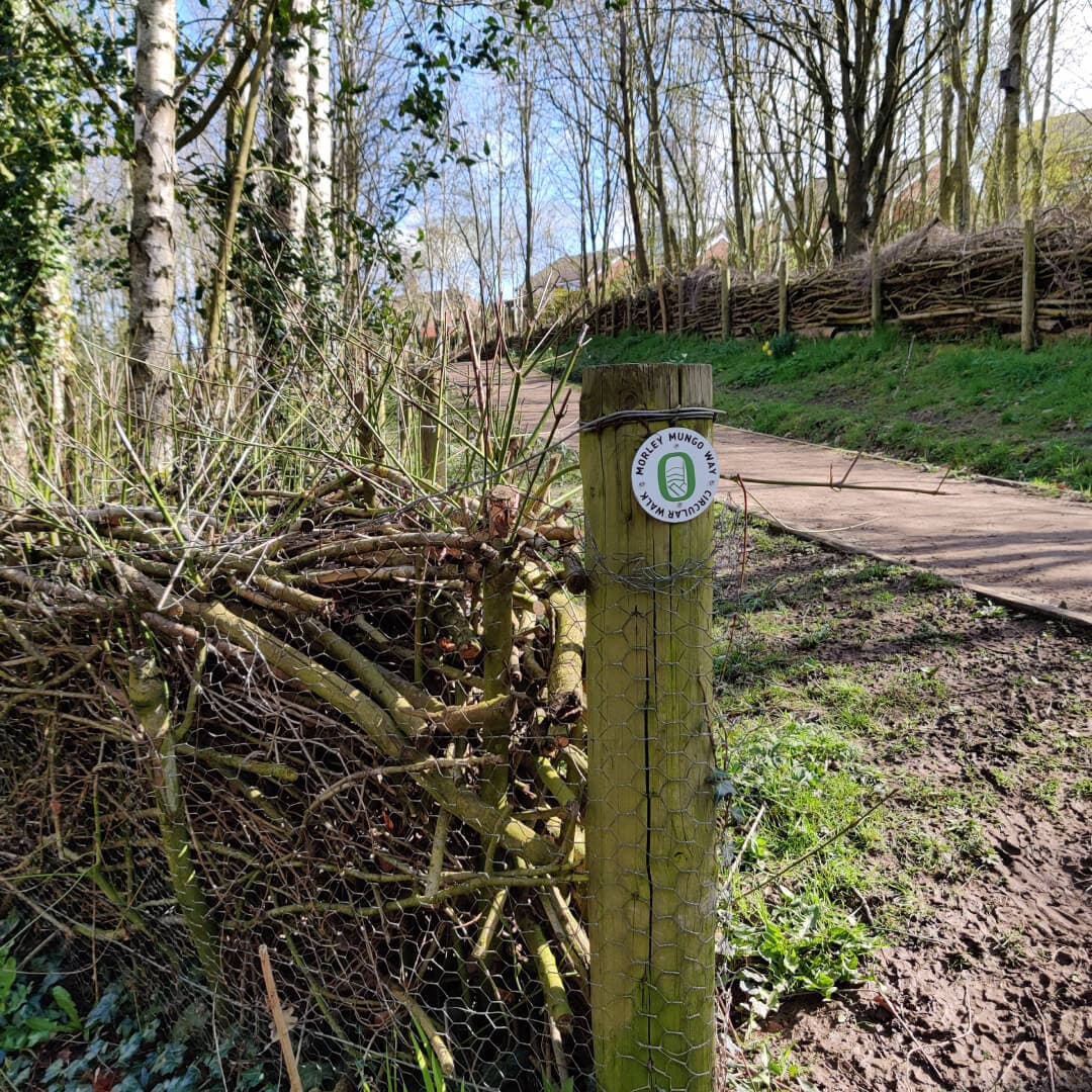 Daffil Wood