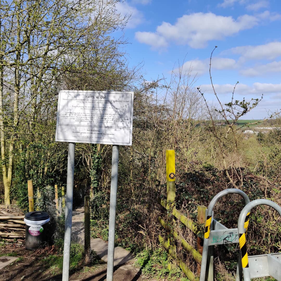 Daffil Wood