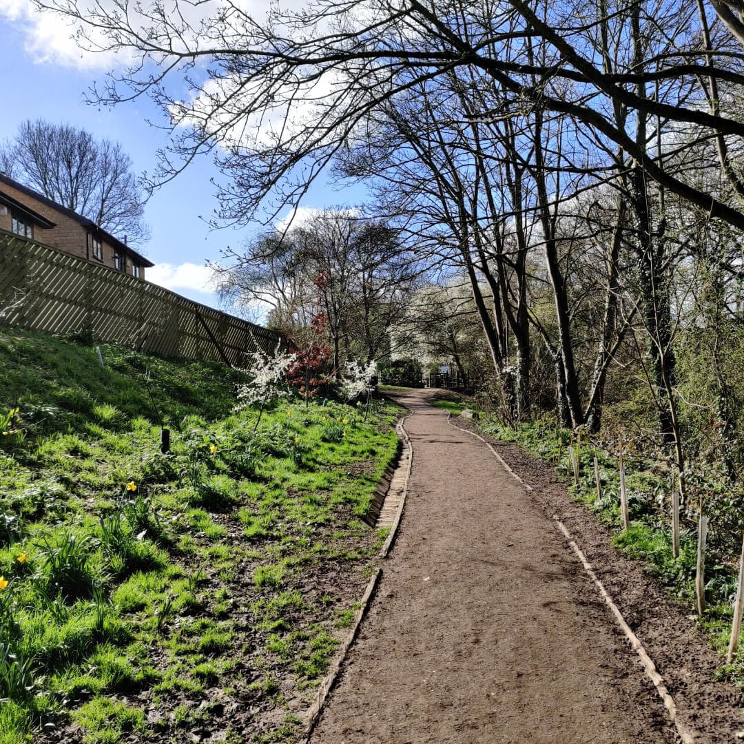 Daffil Wood