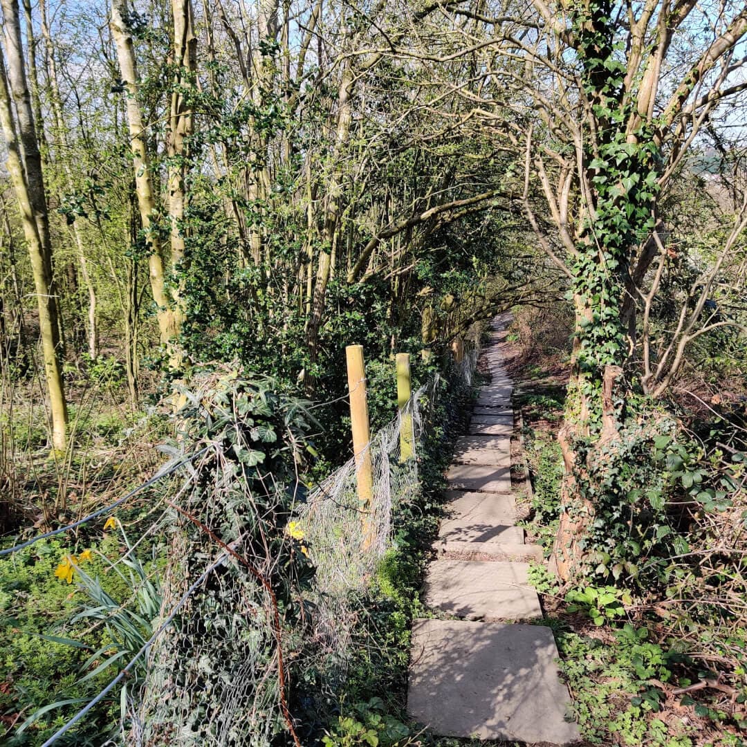 Daffil Wood