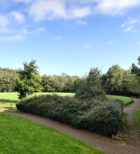 Springfield Mill Park
