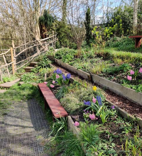 Daffil Woods