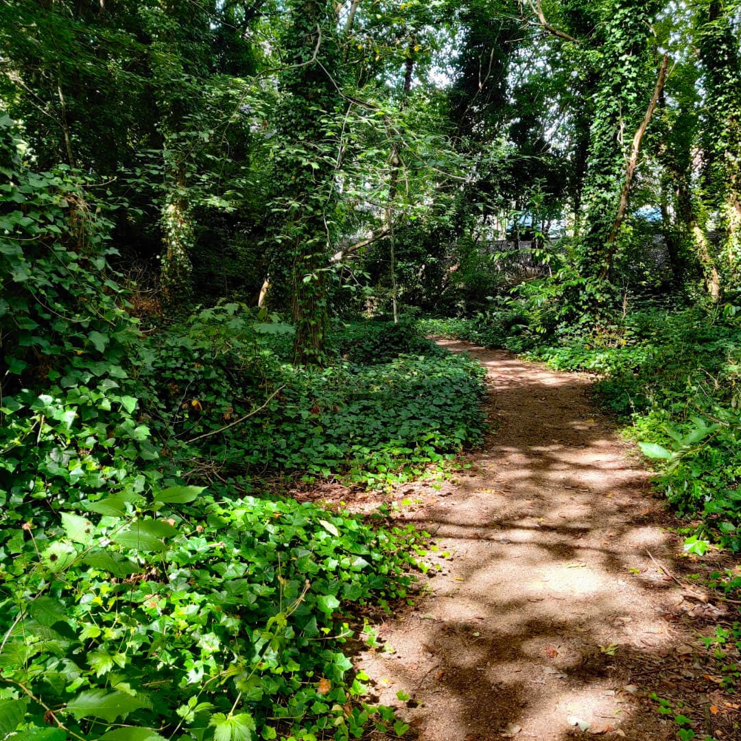 Dagmar Wood path in headingley