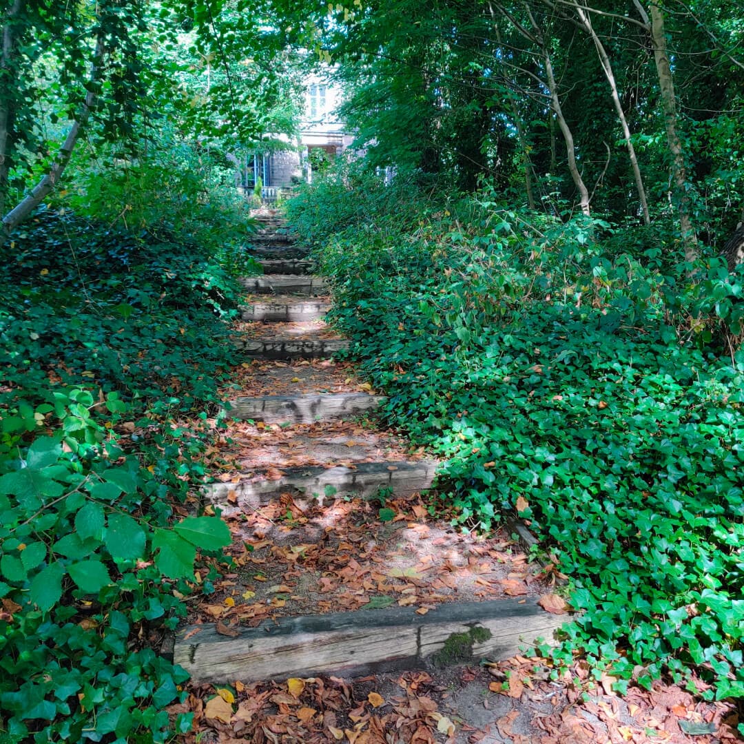 Dagmar Wood steps
