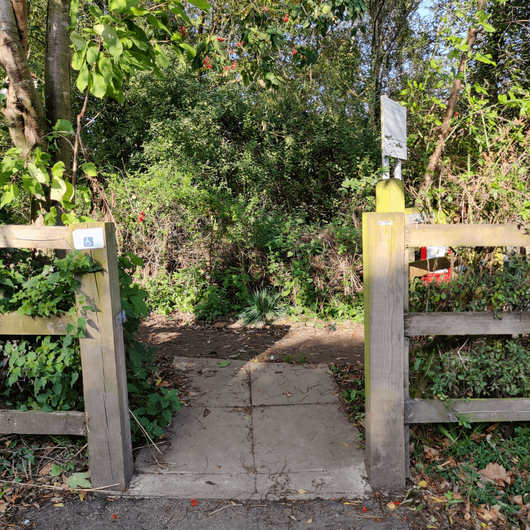 Churwell Woods