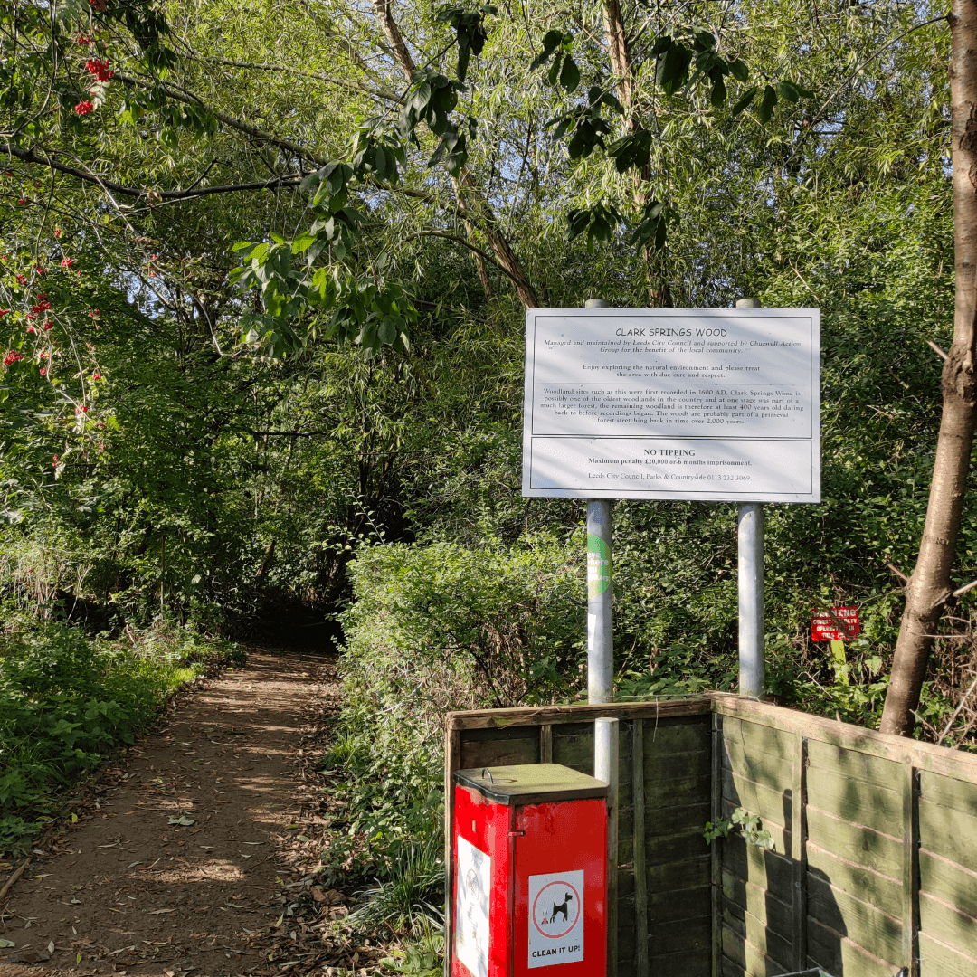 Churwell Woods