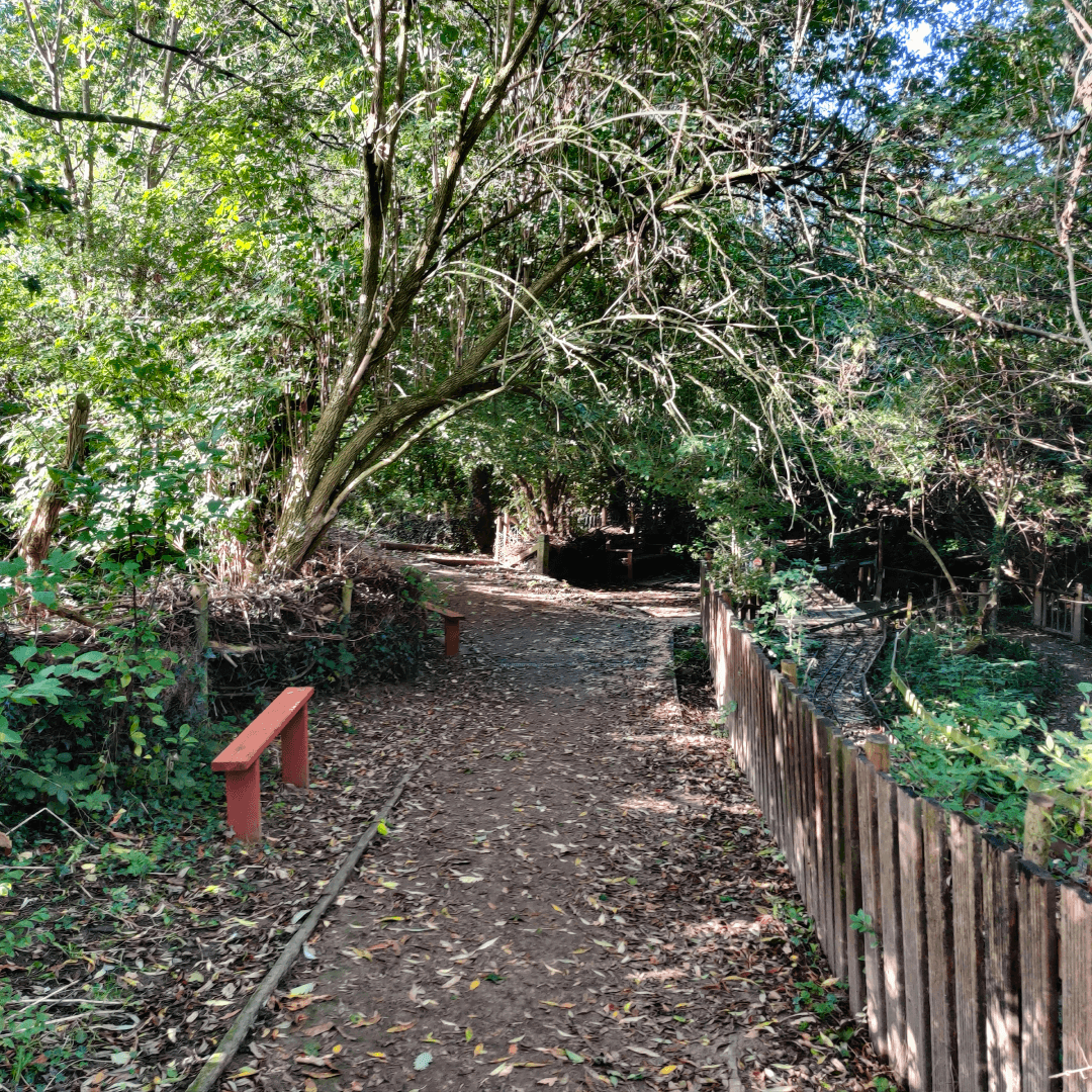 Churwell Woods