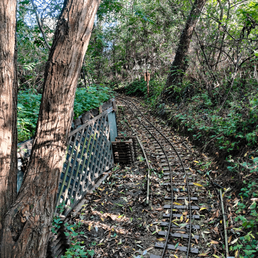 Churwell Woods