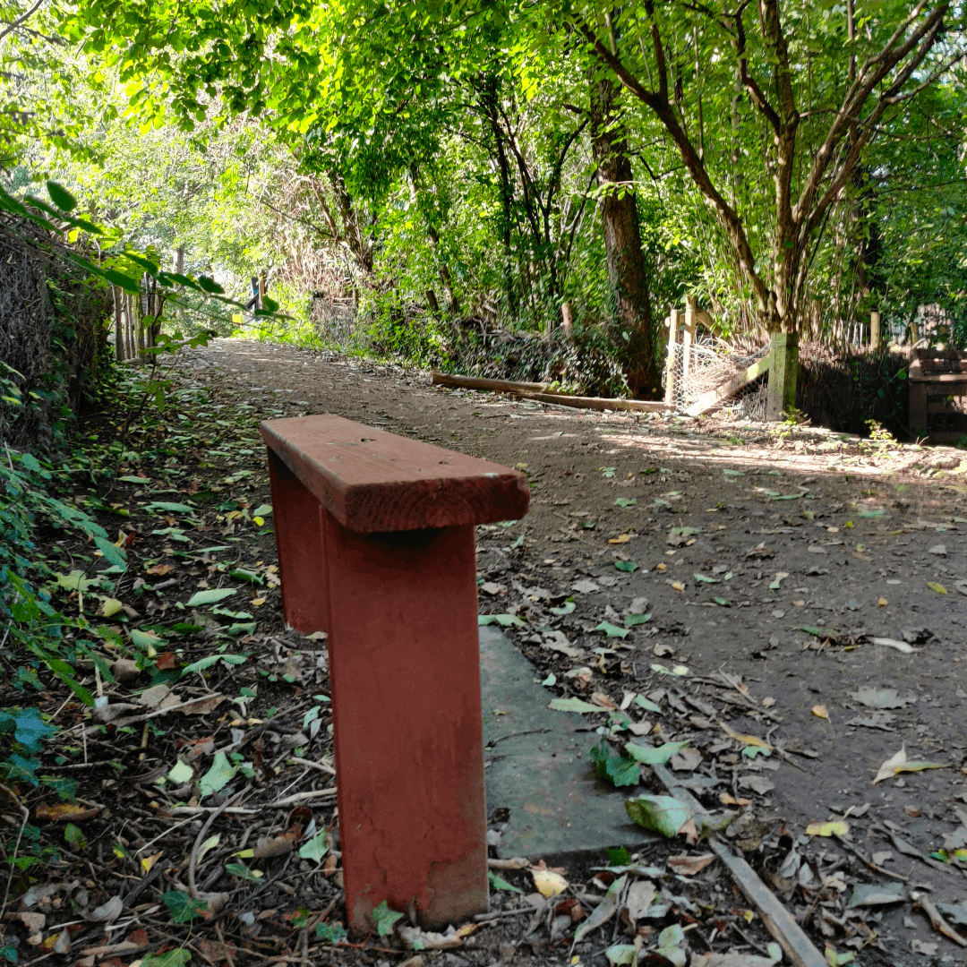 Churwell Woods