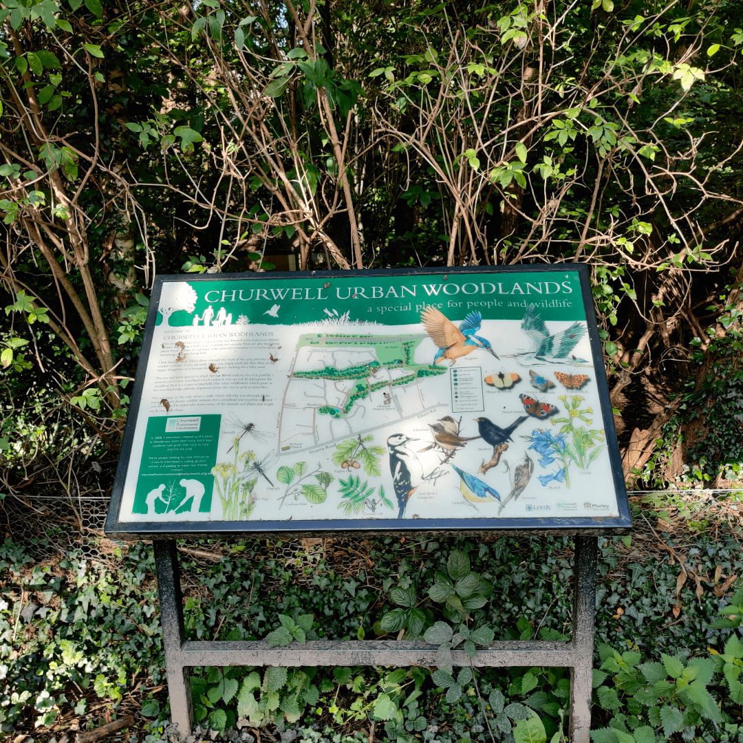 Churwell Woods