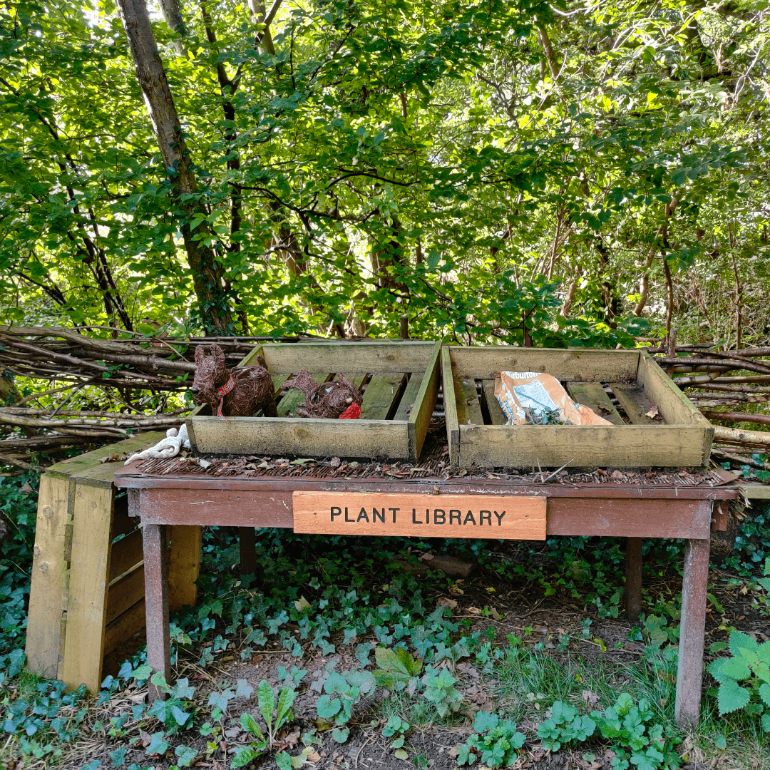 Churwell Woods