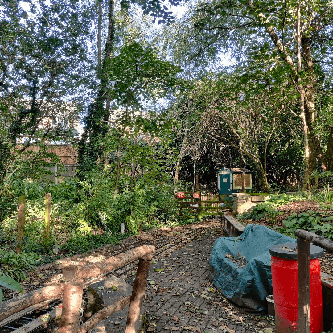 Churwell Woods