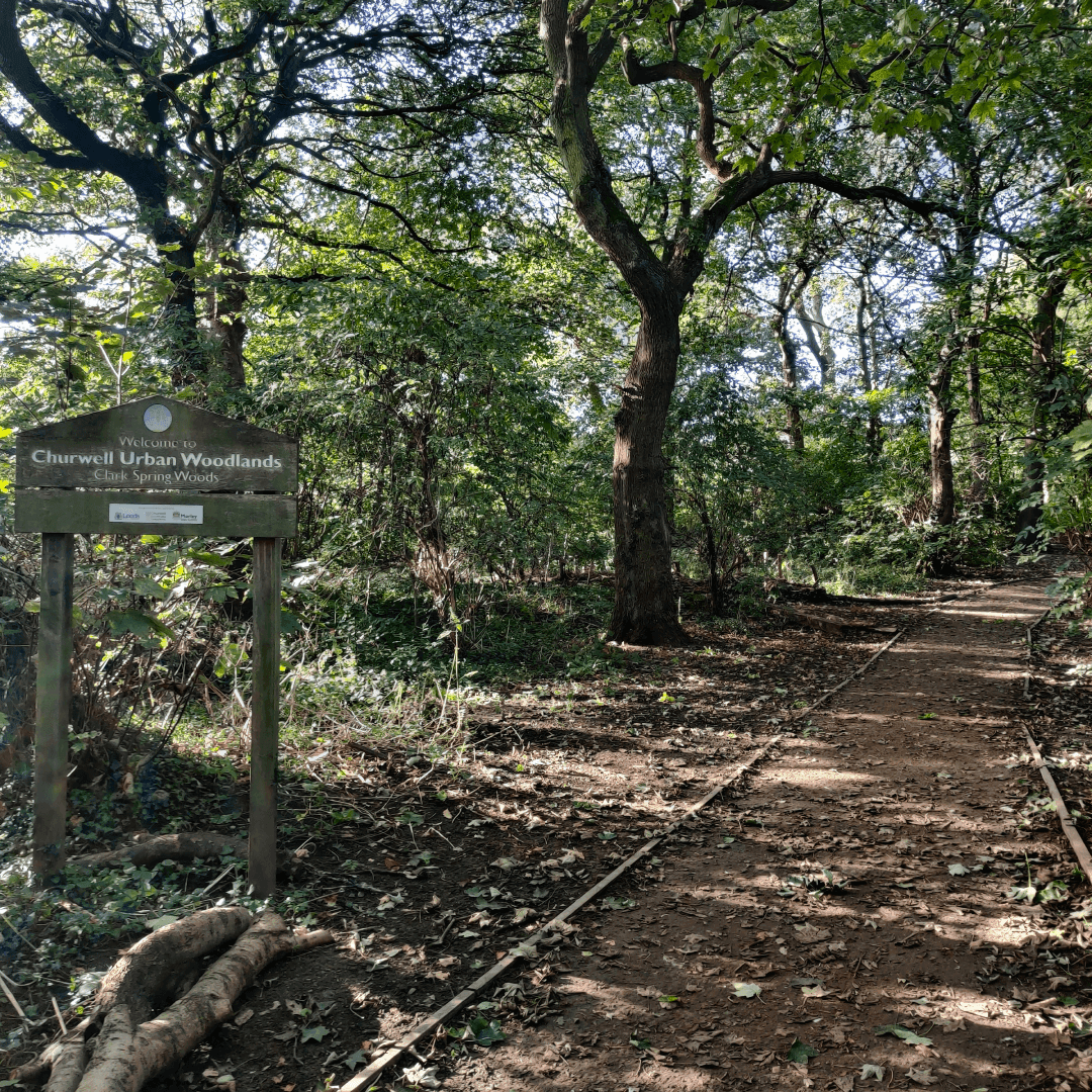 Churwell Woods