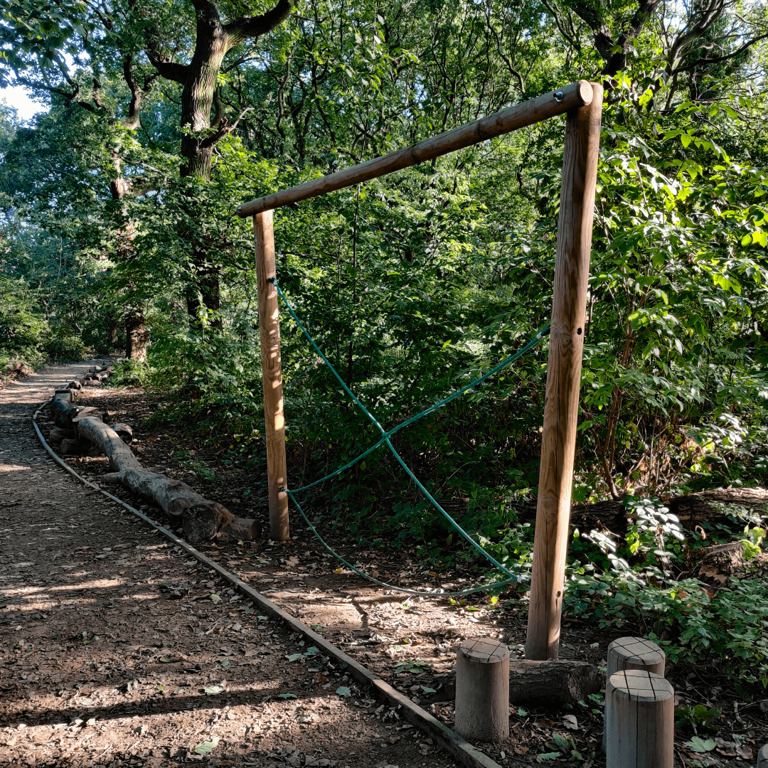 Churwell Woods