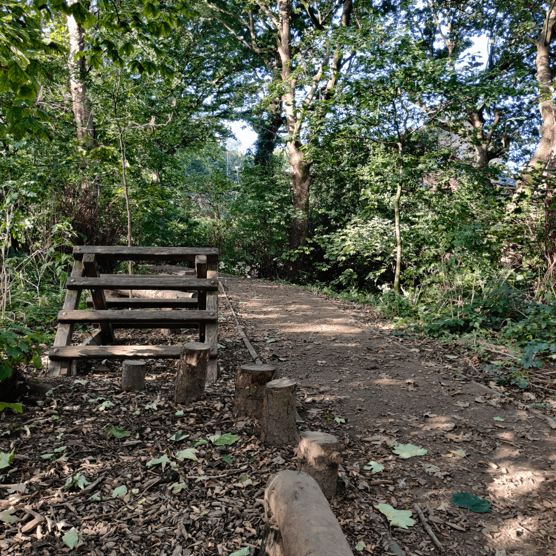 Churwell Woods