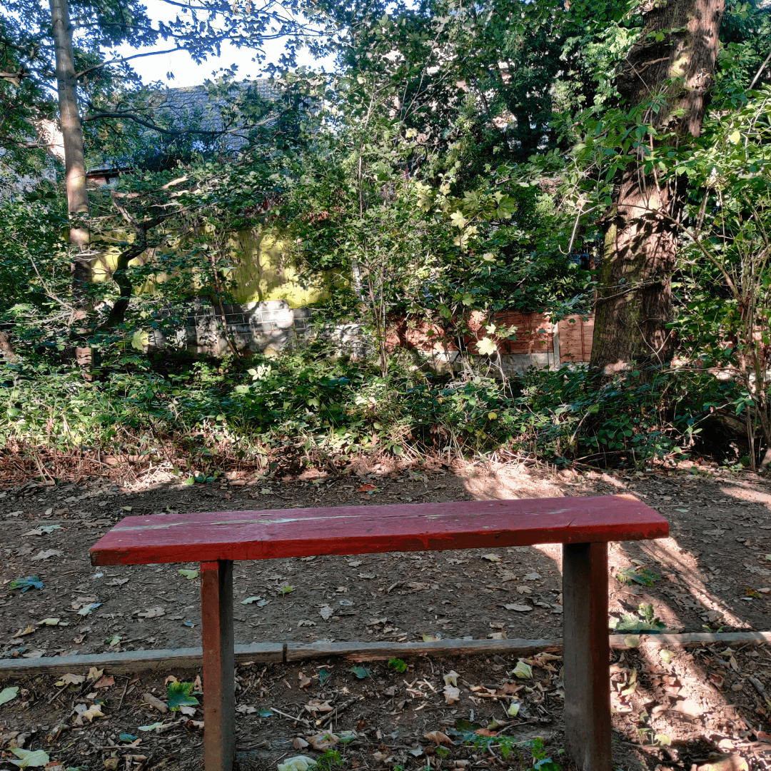 Churwell Woods
