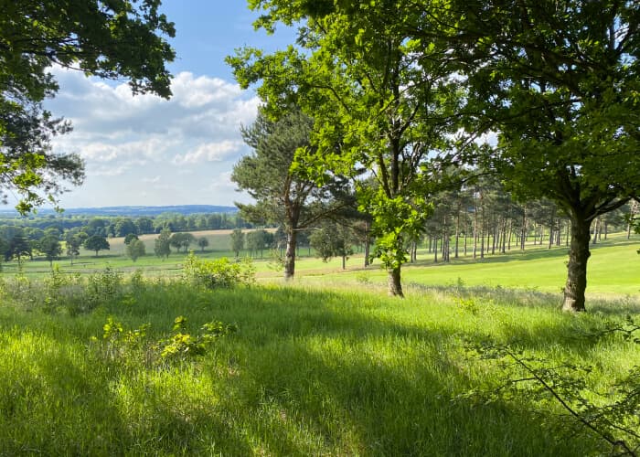 Incredible Woodland to Visit in Leeds