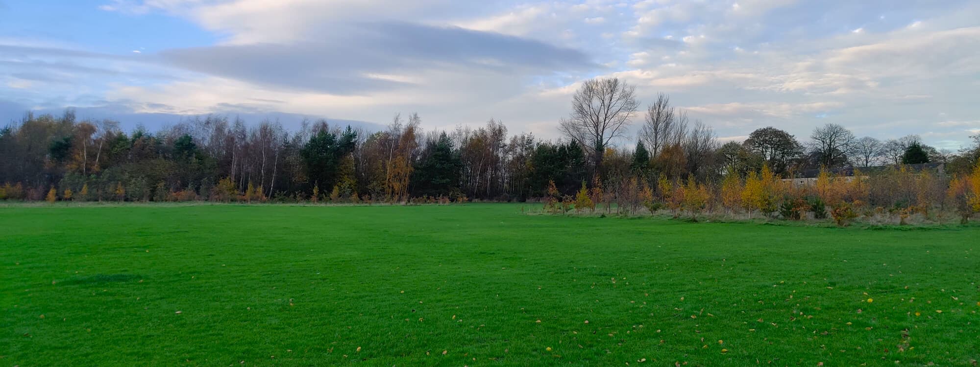 King Alfred's Playing Fields