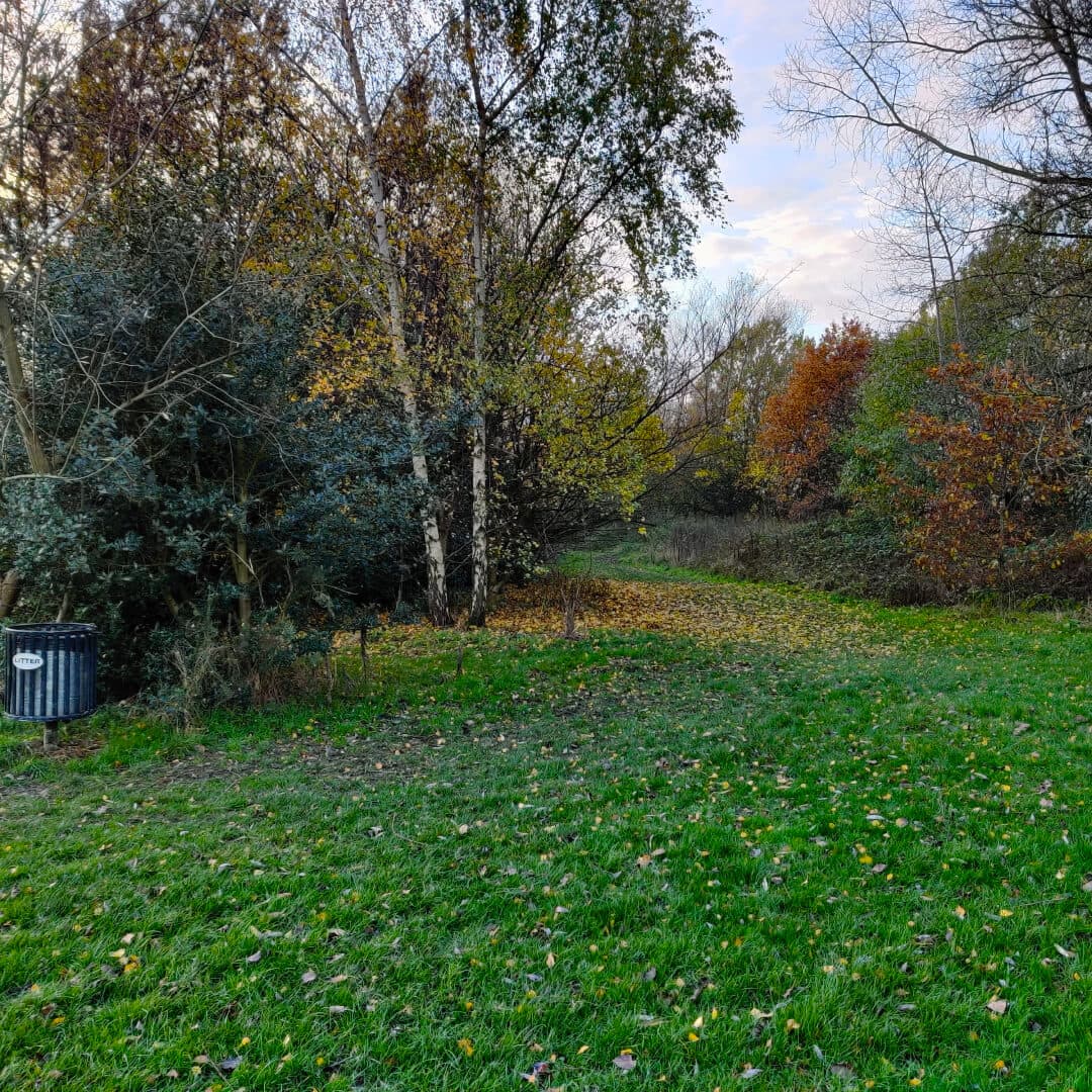 King Alfred's Playing Fields