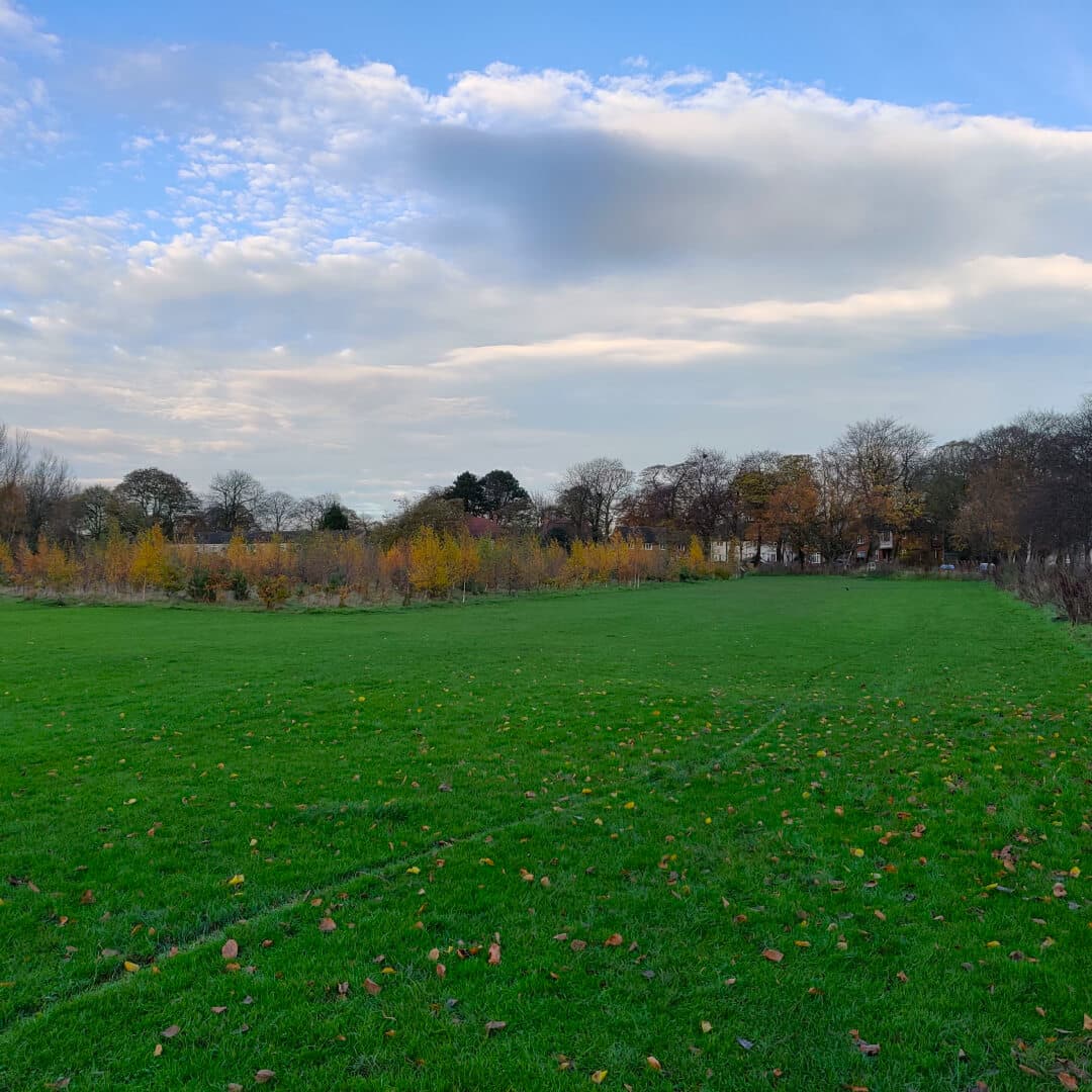 King Alfred's Playing Fields