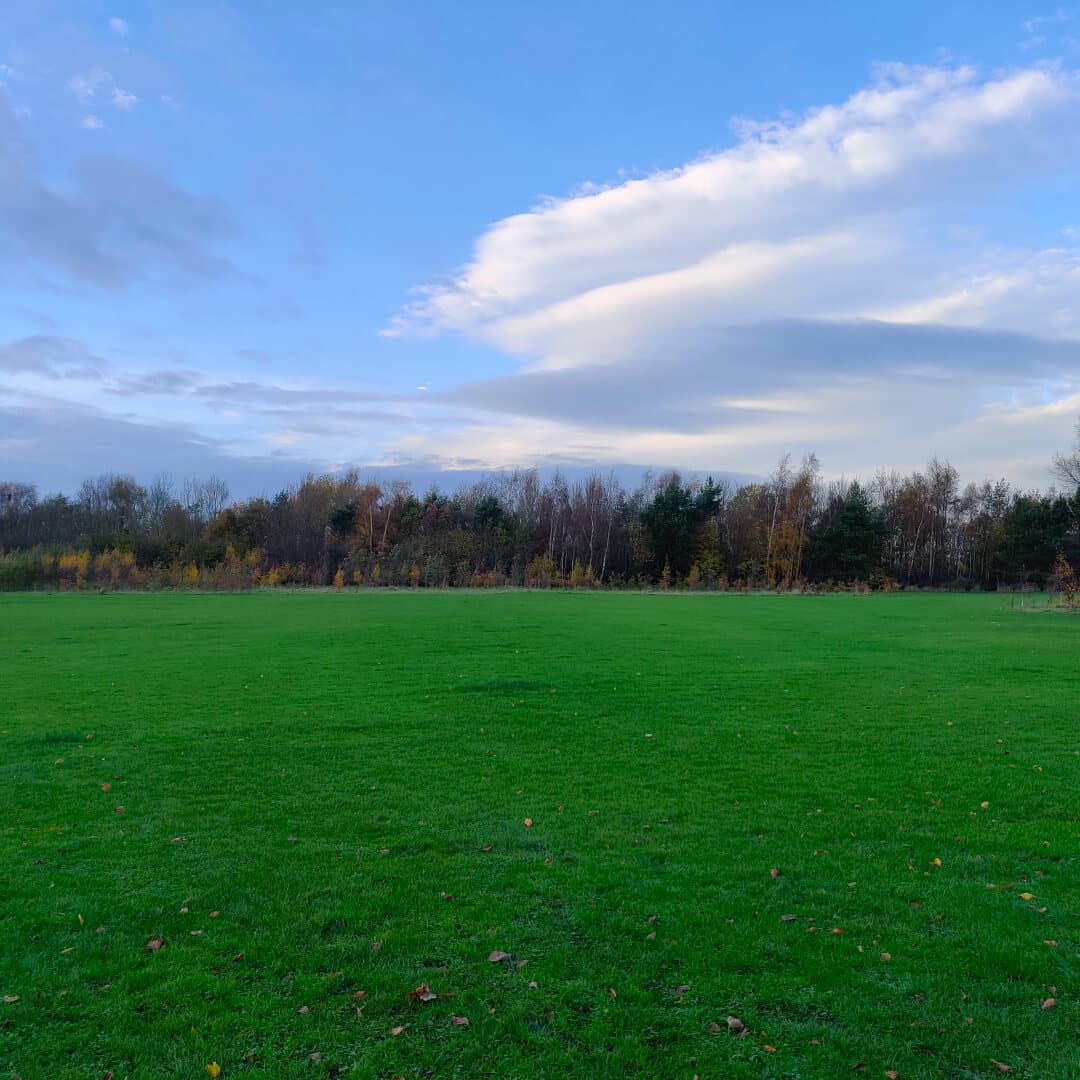 King Alfred's Playing Fields