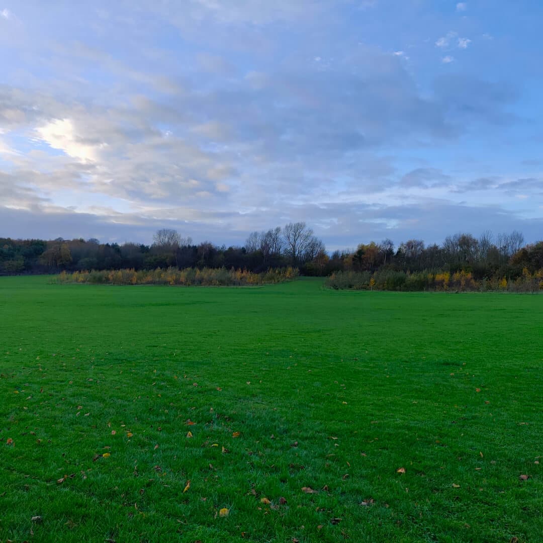King Alfred's Playing Fields