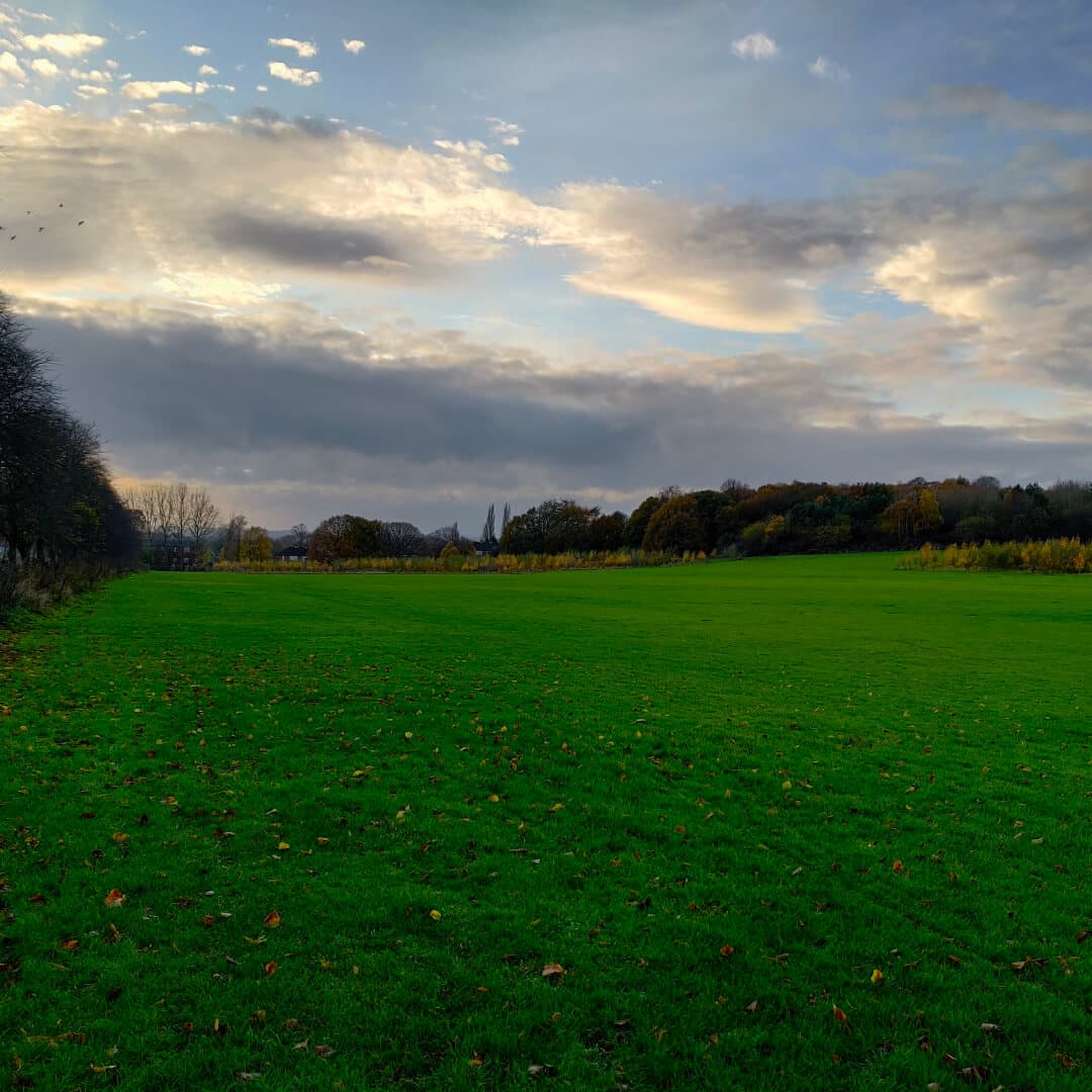 King Alfred's Playing Fields