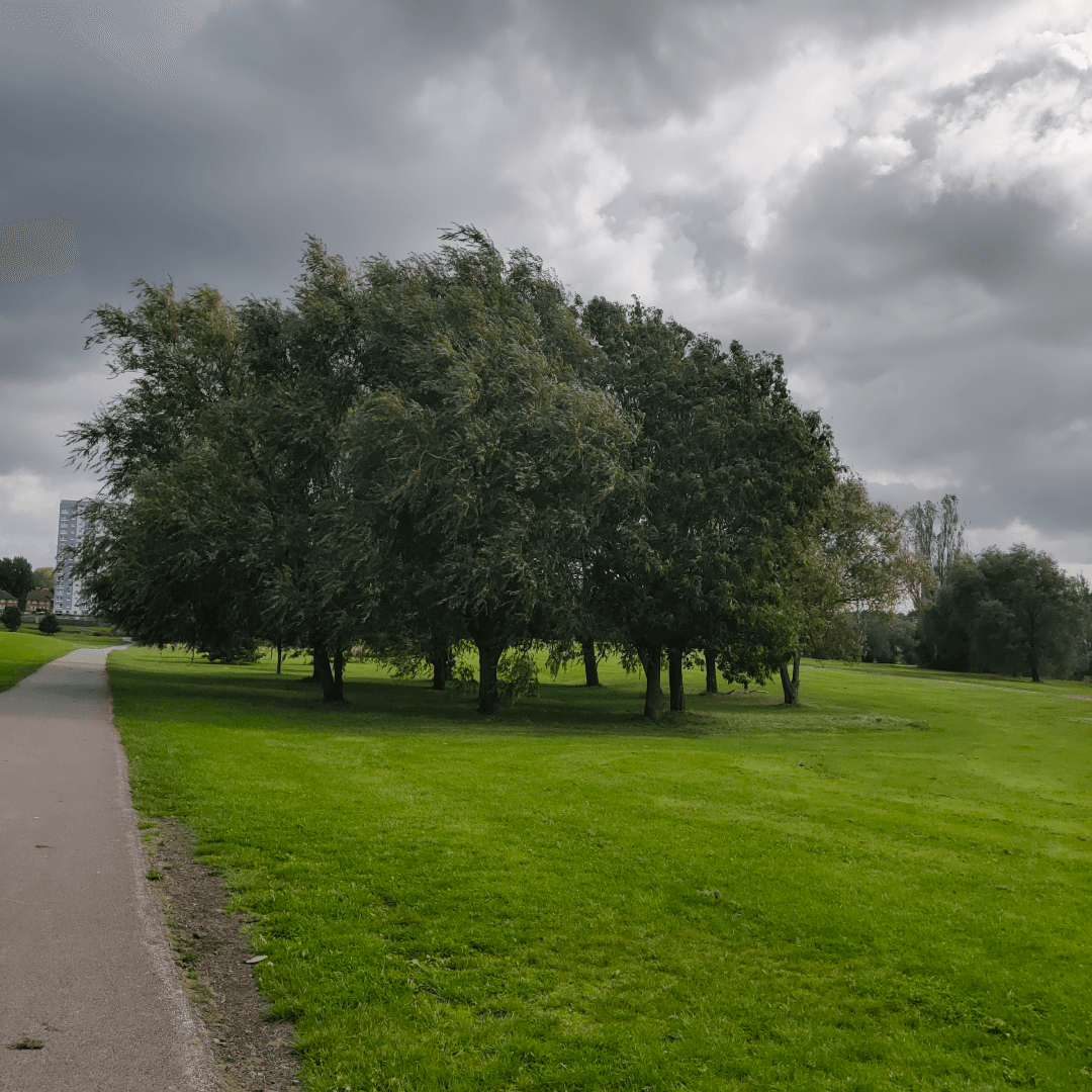 Fearnville Playing Fields