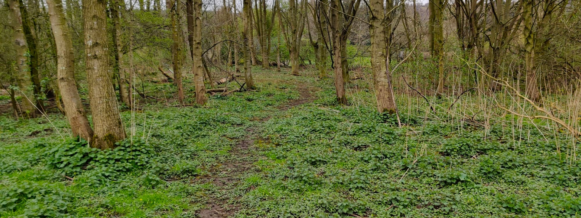 Gallows Hill Nature Reserve