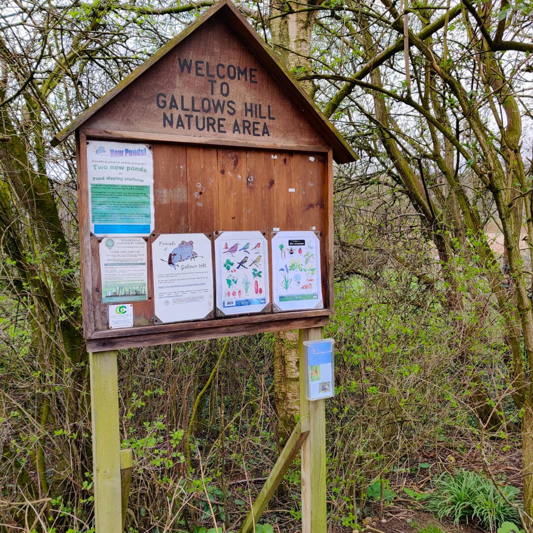 Gallows Hill Nature Reserve
